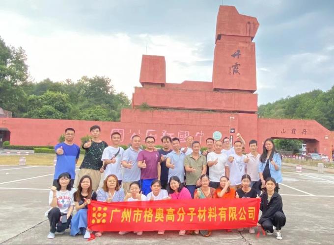 Оптовая продажа PSAF Бесплатно Водоотталкивающее Водостойкое для тканей Кожа Мебельная защита Уход за мебелью Водостойкий спрей 18