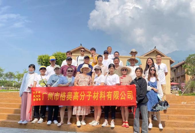 Оптовая продажа PSAF Бесплатно Водоотталкивающее Водостойкое для тканей Кожа Мебельная защита Уход за мебелью Водостойкий спрей 21